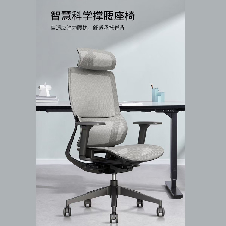 人体工学椅